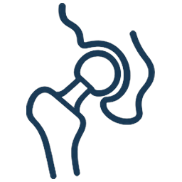 Hip joint icon